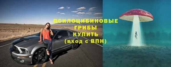 прущая мука Снежногорск