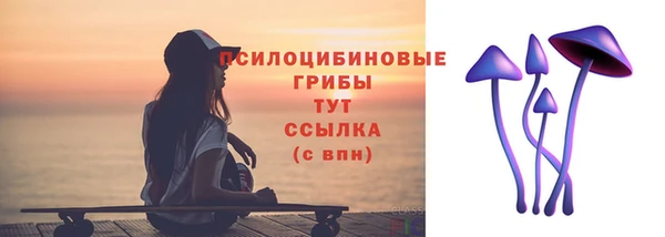 сатива Снежинск