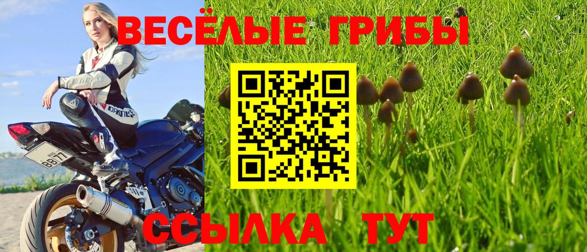 Галлюциногенные грибы прущие грибы  Вход с VPN  Кирово-Чепецк 