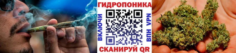 Марихуана план  ссылка на мегу сайт  Кирово-Чепецк 